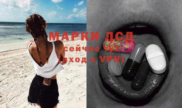 spice Новодвинск