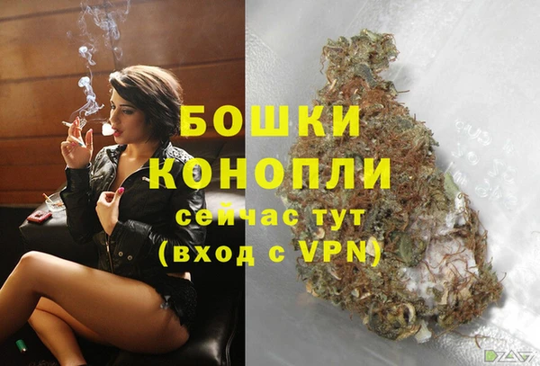 spice Новодвинск