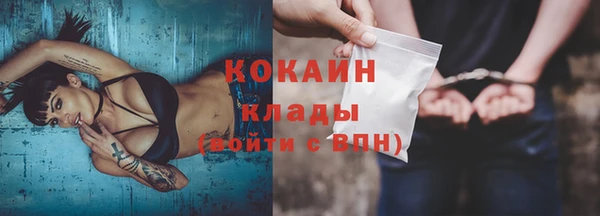 a pvp Новозыбков