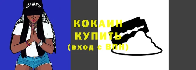 spice Новодвинск