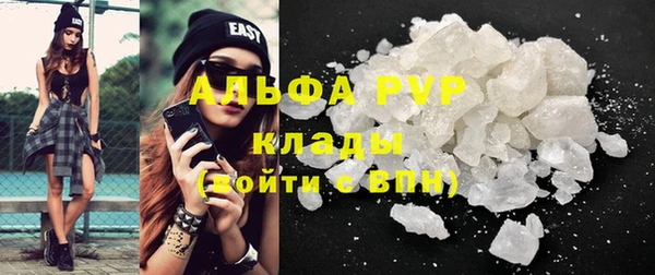 a pvp Новозыбков