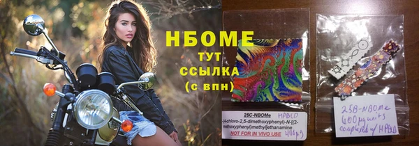 a pvp Новозыбков