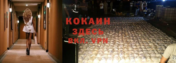 spice Новодвинск