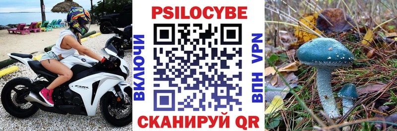 купить наркоту  Ишим  МЕГА вход  Галлюциногенные грибы Psilocybine cubensis 