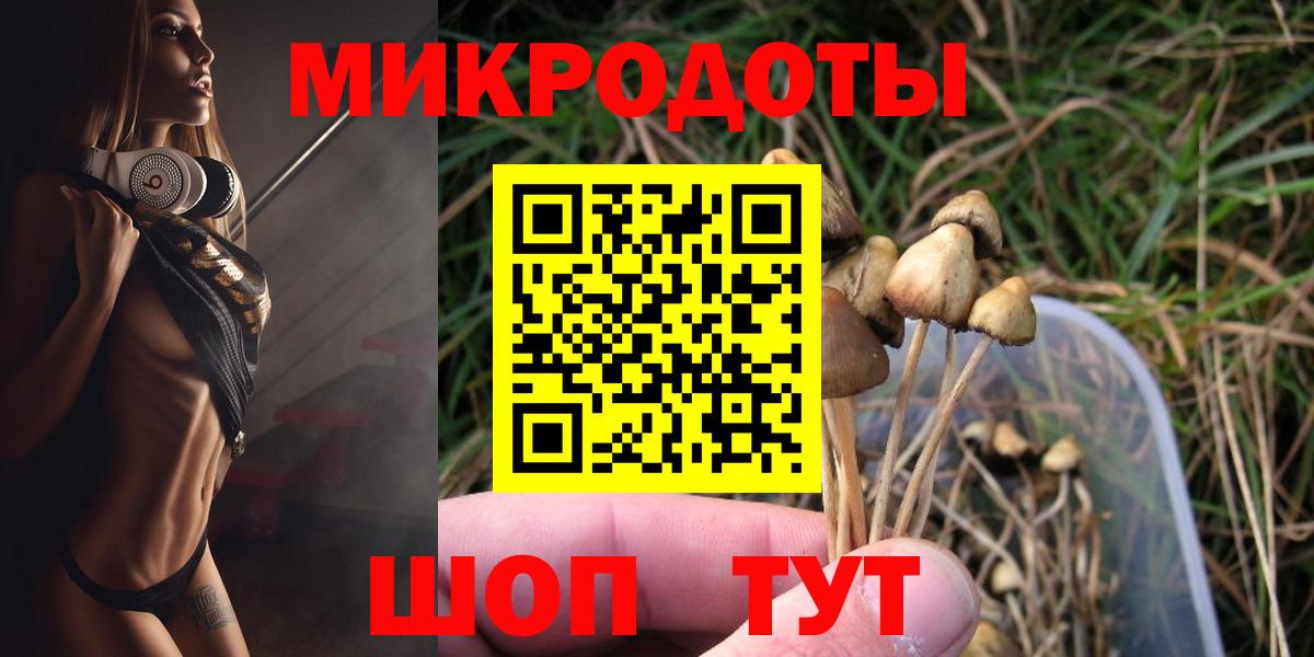 Ишим  Псилоцибиновые грибы мицелий  Вход с VPN 